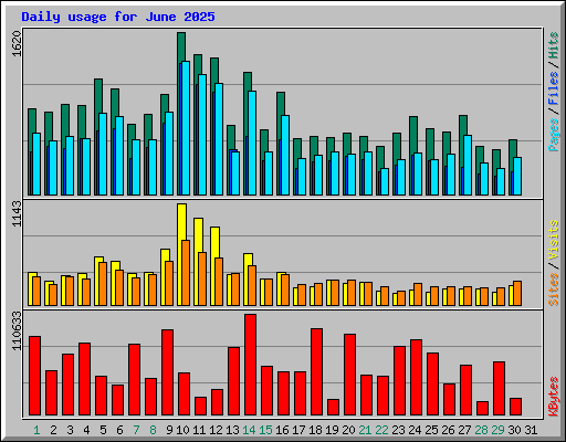 Daily usage for June 2025