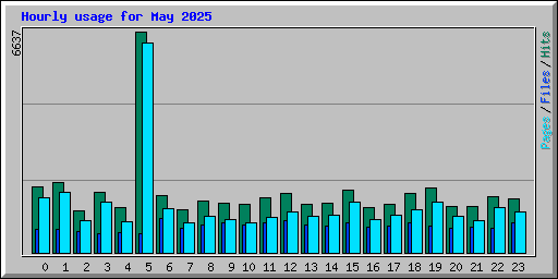 Hourly usage for May 2025