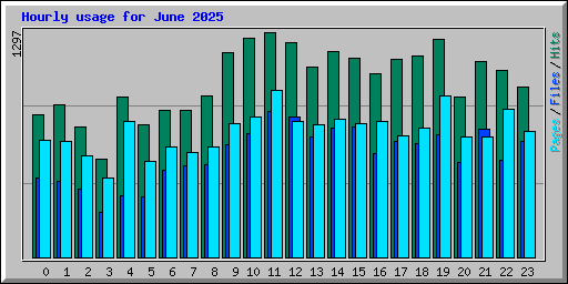 Hourly usage for June 2025