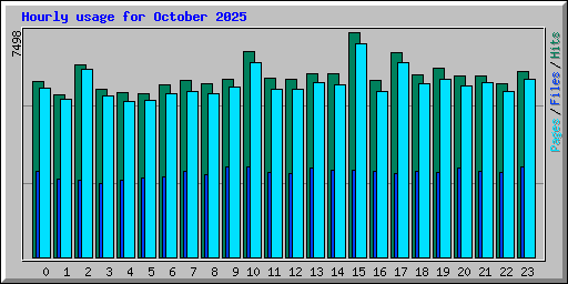 Hourly usage for October 2025