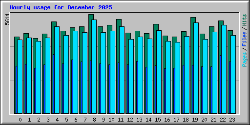 Hourly usage for December 2025