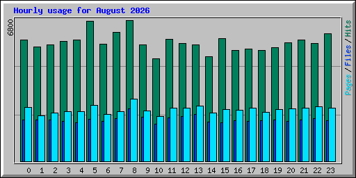 Hourly usage for August 2026